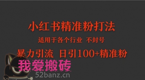 小红书各个行业适用的精准粉暴力引流打法 日引100+精准粉-搬砖党52搬砖-52banz.cn|52搬砖-我爱搬砖网