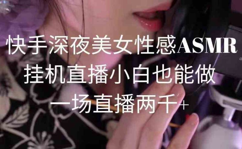 快手深夜美女性感ASMR挂机直播,小白也能做,一场直播两千+|52搬砖-我爱搬砖网