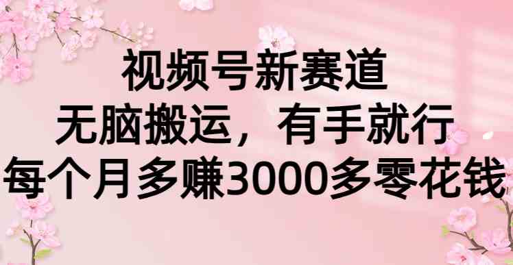 视频号新赛道，无脑搬运，有手就行，每个月多赚3000多零花钱|52搬砖-我爱搬砖网