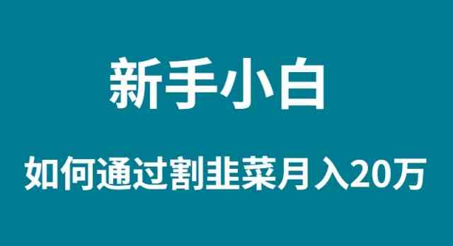 新手小白如何通过割韭菜月入 20W|52搬砖-我爱搬砖网