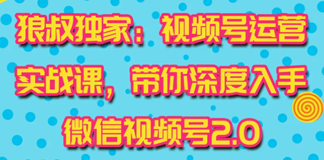 视频号运营实战课2.0，目前市面上最新最全玩法，快速吸粉吸金|52搬砖-我爱搬砖网