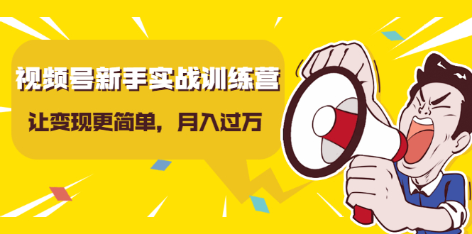 视频号新手实战训练营，让变现更简单，玩赚视频号，轻松月入过万|52搬砖-我爱搬砖网