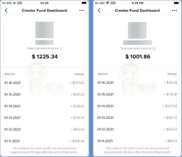 图片[2]|龟课·Tik Tok变现实战训练营线上第2期：日入上百+美刀 月收益上万不成问题|52搬砖-我爱搬砖网
