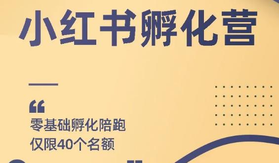 勇哥小红书撸金快速起量项目：教你如何快速起号获得曝光，做到月躺赚3000+|52搬砖-我爱搬砖网