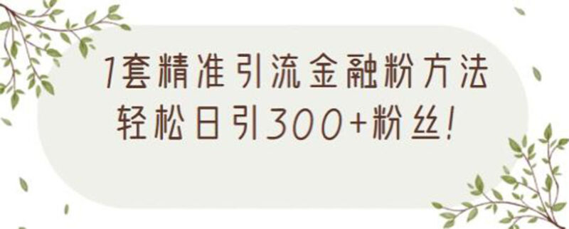 1套精准引流金融粉方法，轻松日引300+粉丝【视频课程】|52搬砖-我爱搬砖网