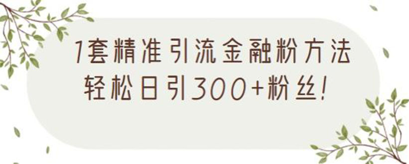 1套精准引流金融粉方法，轻松日引300+粉丝【视频课程】|52搬砖-我爱搬砖网