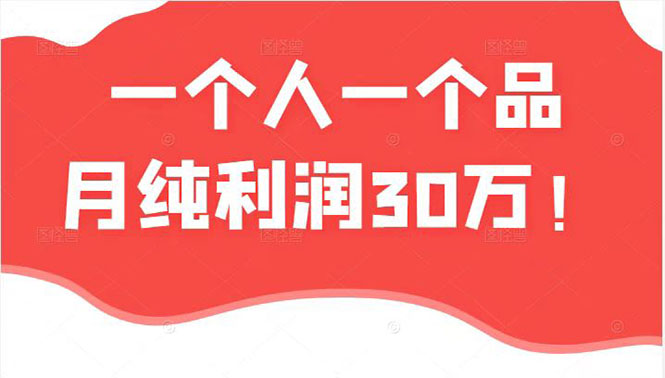 某公众号付费文章：一个人一个品月纯利润30万的蓝海电商经典案例！|52搬砖-我爱搬砖网