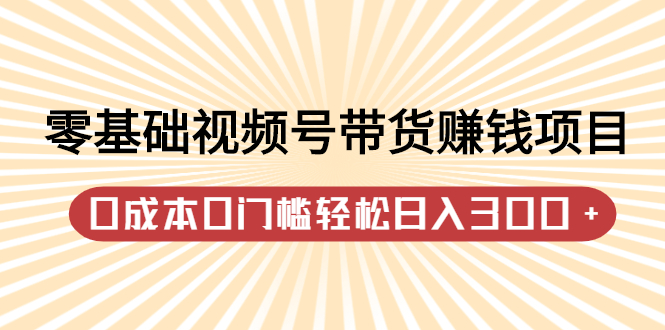 零基础视频号带货赚钱项目，0成本0门槛轻松日入300+【视频教程】|52搬砖-我爱搬砖网