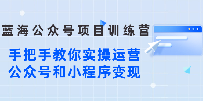 蓝海公众号项目训练营，手把手教你实操运营公众号和小程序变现|52搬砖-我爱搬砖网