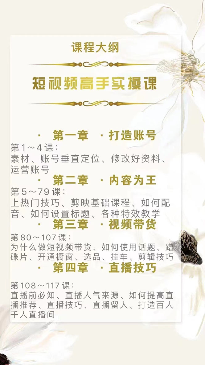 图片[2]|短视频高手实操课：从入门到精通，账号+运营+直播，应有尽有！|52搬砖-我爱搬砖网
