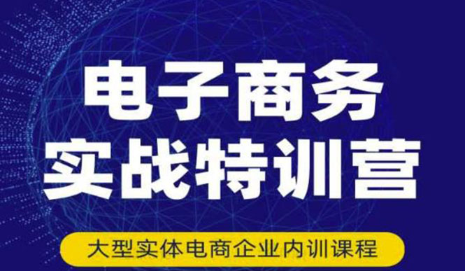 电子商务实战特训营，全方位带你入门电商，308种方式玩转电商|52搬砖-我爱搬砖网