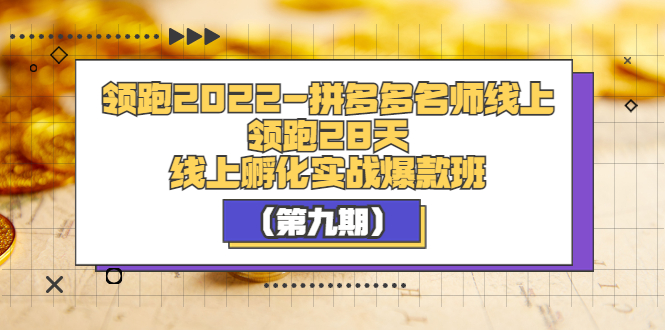 领跑2022-拼多多名师线上领跑28天，线上孵化实战爆款班|52搬砖-我爱搬砖网