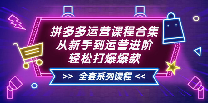 拼多多运营课程合集：从新手到运营进阶，轻松打爆爆款|52搬砖-我爱搬砖网