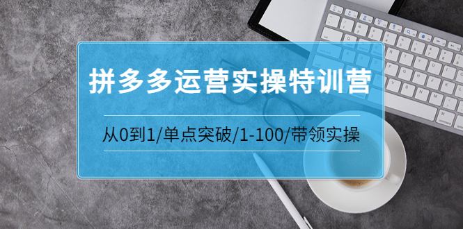 青云:拼多多运营实操特训营：从0到1/单点突破/1-100/带领实操|52搬砖-我爱搬砖网