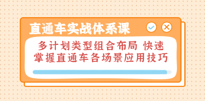 直通车实战体系课：多计划类型组合布局 快速掌握直通车各场景应用技巧|52搬砖-我爱搬砖网