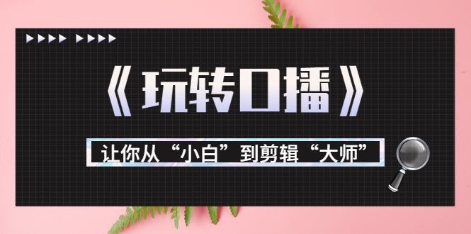 月营业额700万+大佬教您《玩转口播》让你从“小白”到剪辑“大师”|52搬砖-我爱搬砖网