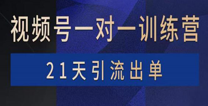 视频号训练营：带货，涨粉，直播，游戏，四大变现新方向，21天引流出单|52搬砖-我爱搬砖网