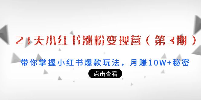 21天小红书涨粉变现营：带你掌握小红书爆款玩法，月赚10W+秘密|52搬砖-我爱搬砖网