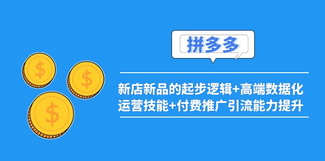 2022拼多多：新店新品的起步逻辑+高端数据化运营技能+付费推广引流能力提升|52搬砖-我爱搬砖网