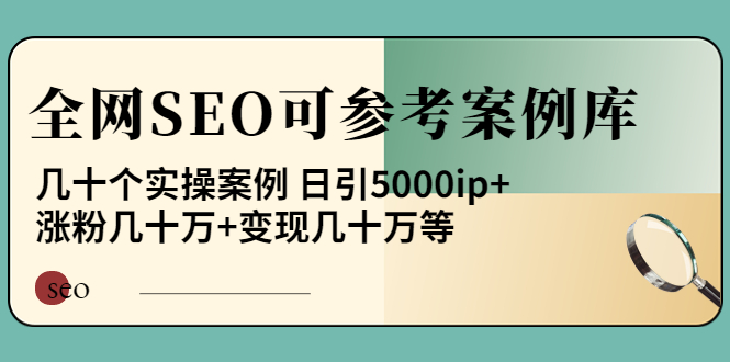 《全网SEO可参考案例库》几十个实操案例 日引5000ip+涨粉百W+变现几十W等!|52搬砖-我爱搬砖网