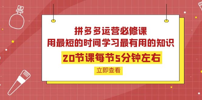 拼多多运营必修课：20节课每节5分钟左右，用最短的时间学习最有用的知识|52搬砖-我爱搬砖网