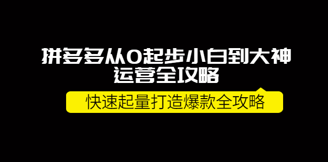 拼多多从0起步小白到大神运营全攻略，快速起量打造10W+爆款全攻略！|52搬砖-我爱搬砖网