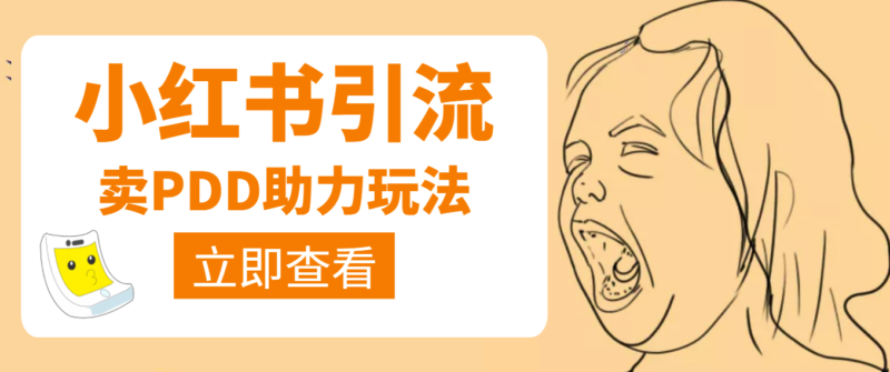 利用小红书卖拼多多助力，日赚100+，顺便还能引个流【视频课程】|52搬砖-我爱搬砖网