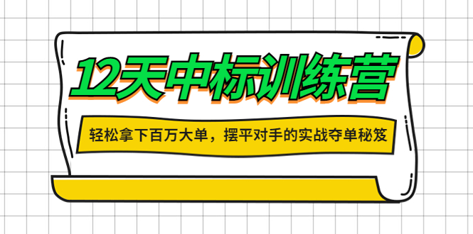 12天中标训练营：轻松拿下百万大单，摆平对手的实战夺单秘笈！|52搬砖-我爱搬砖网