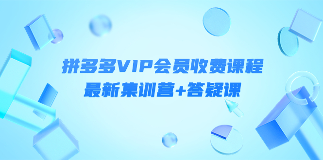 某社群·拼多多VIP会员收费课程，最新集训营+答疑课-价值3299元|52搬砖-我爱搬砖网