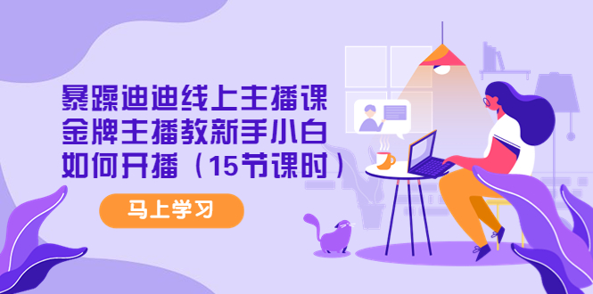 暴躁迪迪线上主播课，金牌主播教新手小白如何开播|52搬砖-我爱搬砖网