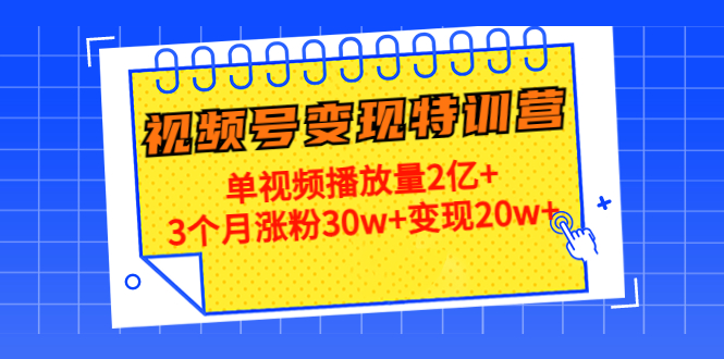 20天视频号变现特训营：单视频播放量2亿+3个月涨粉30w+变现20w+|52搬砖-我爱搬砖网