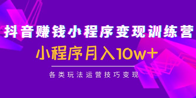 抖音赚钱小程序变现训练营：小程序月入10w+各类玩法运营技巧变现|52搬砖-我爱搬砖网