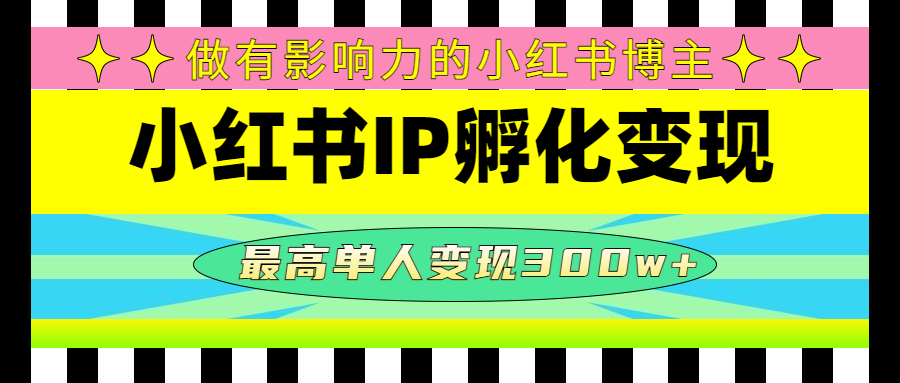 某收费培训-小红书IP孵化变现：做有影响力的小红书博主，最高单人变现300w+|52搬砖-我爱搬砖网