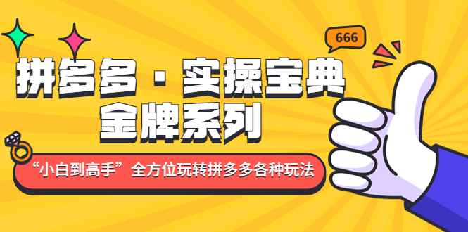 拼多多·实操宝典：金牌系列“小白到高手”带你全方位玩转拼多多各种玩法|52搬砖-我爱搬砖网