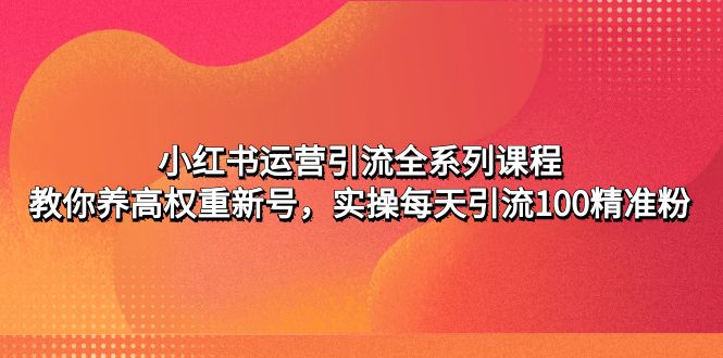 小红书运营引流全系列课程：教你养高权重新号，实操每天引流100精准粉|52搬砖-我爱搬砖网