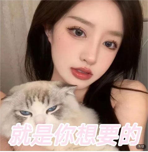 图片[2]|微信交友变现项目，吸引全网LSP男粉精准变现，小白也能轻松上手，日入500+|52搬砖-我爱搬砖网