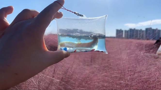 图片[5]|最近抖音很火的泡泡鱼手工小成本地摊创业项目，日賺500+项目课程解析|52搬砖-我爱搬砖网