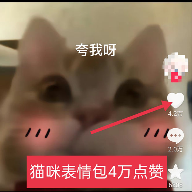 图片[3]|黑科技纯原创可爱猫咪图片，全网精准引流，实操5个VX号被加频繁|52搬砖-我爱搬砖网