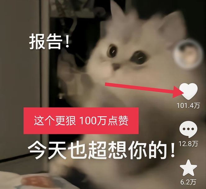 图片[4]|黑科技纯原创可爱猫咪图片，全网精准引流，实操5个VX号被加频繁|52搬砖-我爱搬砖网