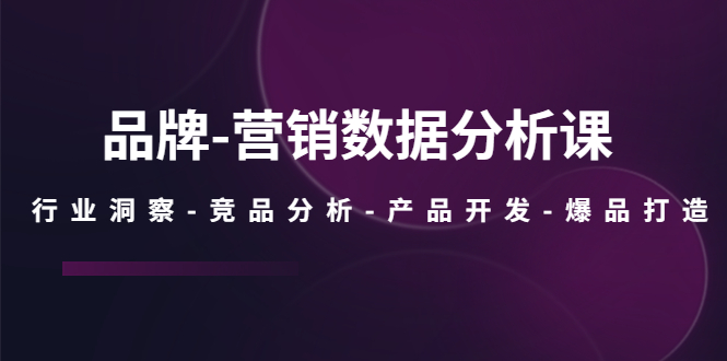 品牌-营销数据分析课，行业洞察-竞品分析-产品开发-爆品打造|52搬砖-我爱搬砖网