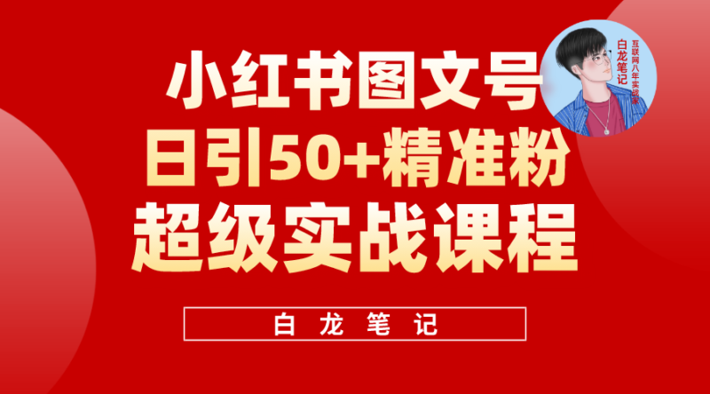 小红书图文号日引50+精准流量,超级实战的小红书引流课,非常适合新手|52搬砖-我爱搬砖网