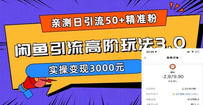 实测日引50+精准粉，闲鱼引流高阶玩法3.0，实操变现3000元|52搬砖-我爱搬砖网