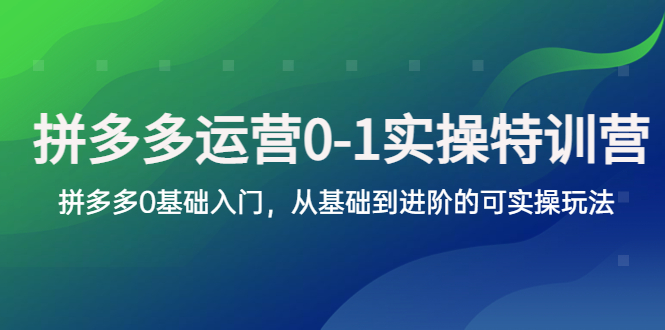 拼多多-运营0-1实操训练营，拼多多0基础入门，从基础到进阶的可实操玩法|52搬砖-我爱搬砖网