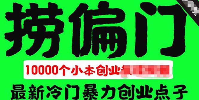 千款捞偏门小本创业小项目，总有一款适合你【无水印】|52搬砖-我爱搬砖网