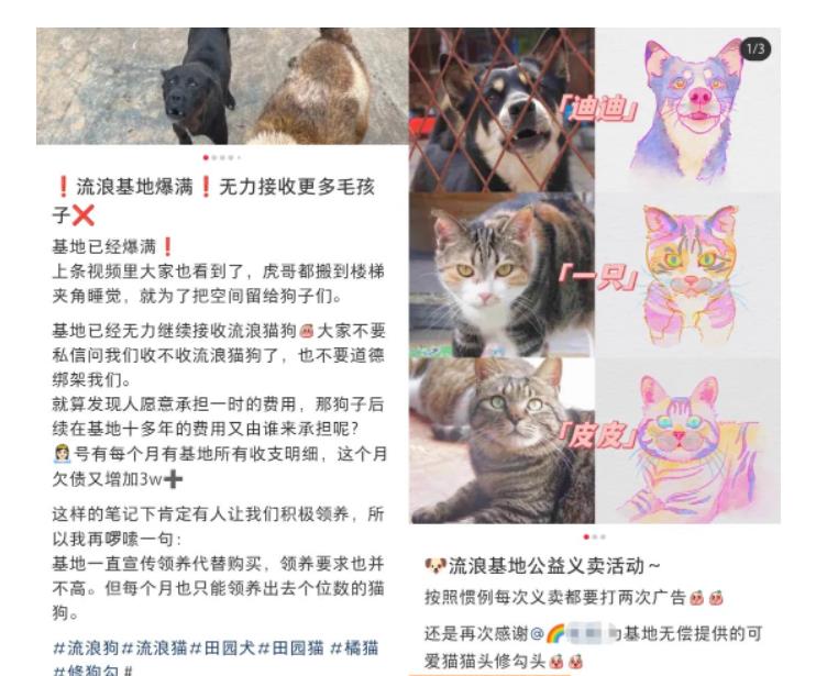 图片[2]|小红书蓝海类赛道：小动物打赏与购买变现副业项目，一条龙玩法分享给你！|52搬砖-我爱搬砖网