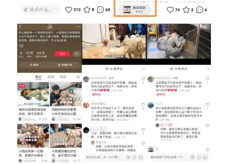 图片[3]|小红书蓝海类赛道：小动物打赏与购买变现副业项目，一条龙玩法分享给你！|52搬砖-我爱搬砖网