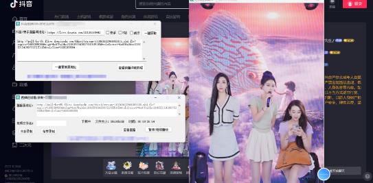 图片[2]|最新电脑版抖音/快手/B站直播源获取+直播间实时录制+直播转播【软件+教程】|52搬砖-我爱搬砖网