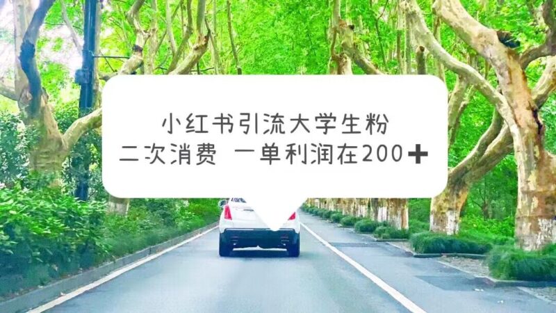 小红书引流大学生粉，变现项目，一单利润在200+|52搬砖-我爱搬砖网