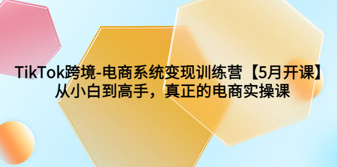 TikTok跨境-电商系统变现训练营【5月新课】从小白到高手，真正的电商实操课|52搬砖-我爱搬砖网