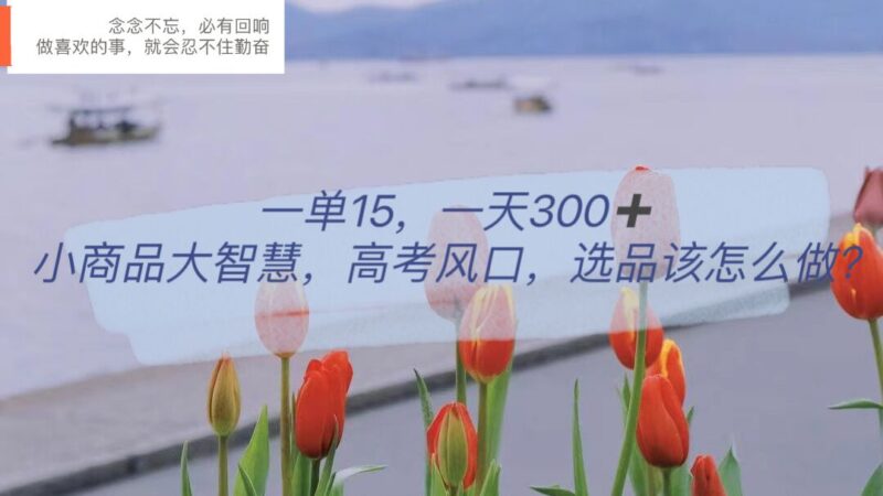 一单15,一天300+,小商品大智慧,高考风口,选品该怎么布局|52搬砖-我爱搬砖网